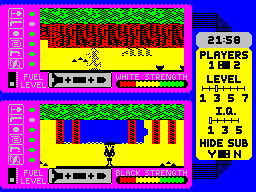 Screen Picture